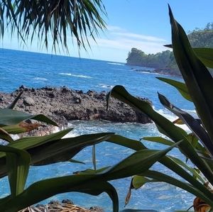 Meet your Posher, Jayme